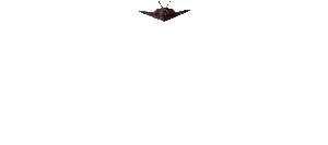 STEALTH  PLANE